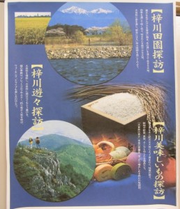ブログ一
