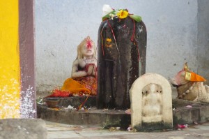 pshukar2