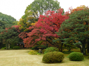 写真部六義園2