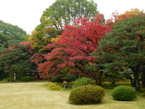 写真部六義園２