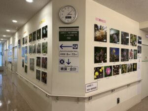 写真展